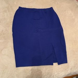 Blue Bodycon Pencil Skirt